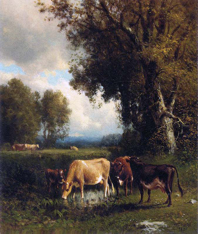 Cows in the Meadow